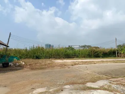 Land for sale in Soi Chaiyapruek (seaside) - Land - Thanon Chaiyaphruek - 