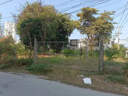 Land for sale, Soi Phra Tamnak 5 - Land - Pratumnak - 