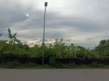Land for sale, Soi Nong Mai Kaen