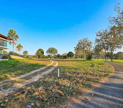 Land for sale 1 rai - Land -  - 