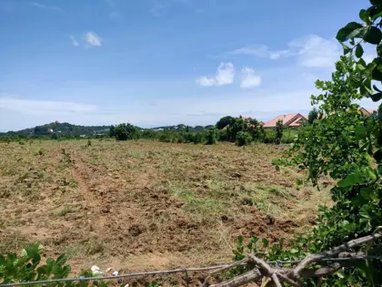 Land For Sale - Land - Toongklom-Talman - 