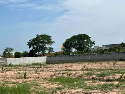 Land for Sale at Nong Yai Sale all plot - Land - Nongprue - 