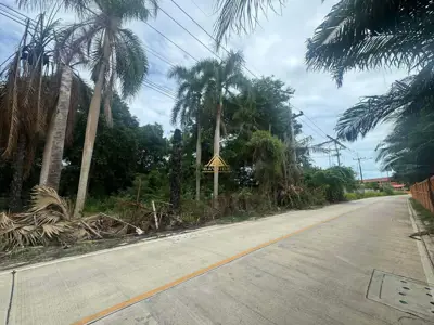 Land for Sale at Na Jomtien Great Location  - Land - Bangsaray - 